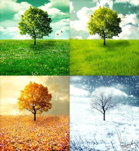 what your favorite season says about you|What Your Favorite Season Might Say About You .